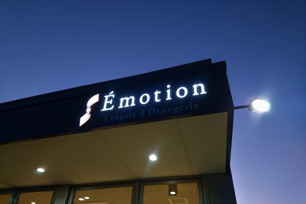emotion_04